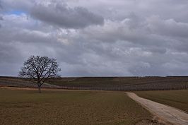 Bernhard Saalfeld - Der Weg.jpg